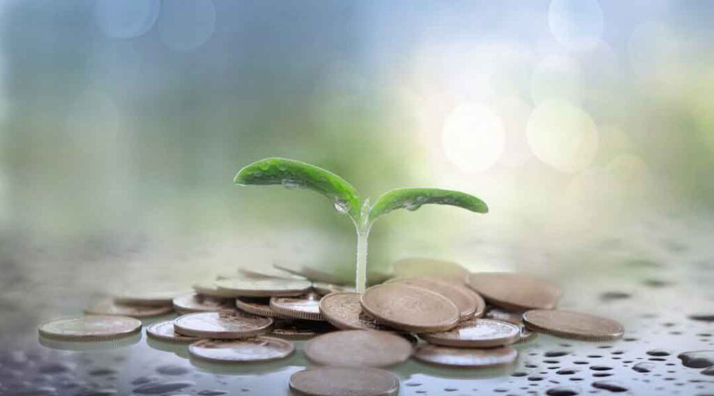 The Importance of Financial Planning for Farmers