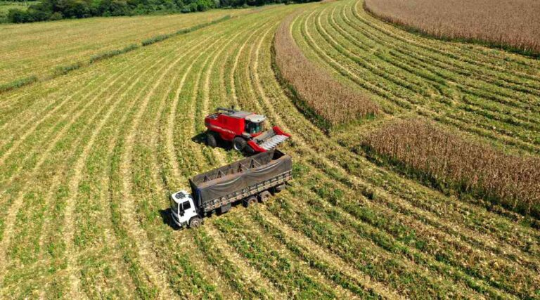 8 Questions Every Farmer Should Ask About Operating Loans