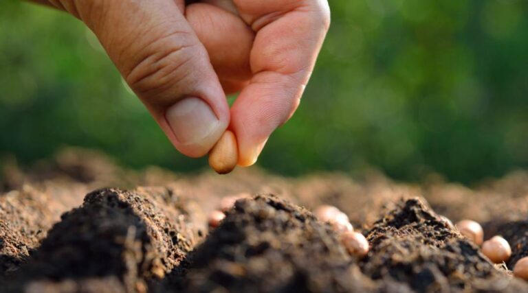 Planting Season Tips from an Ag Lender