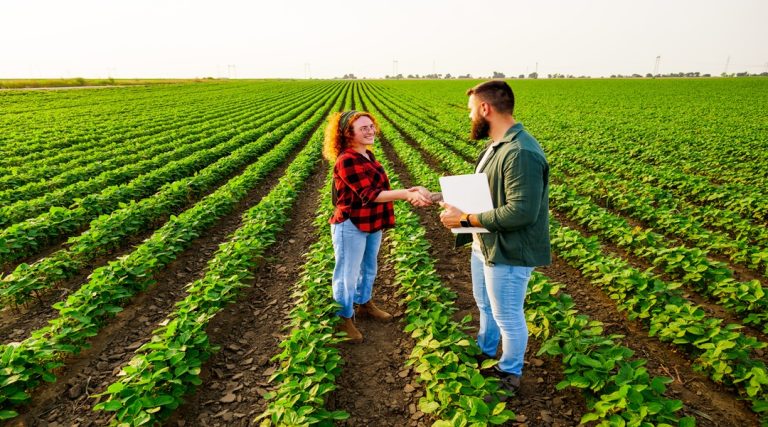 How Much Money Do You Need to Start a Farm?