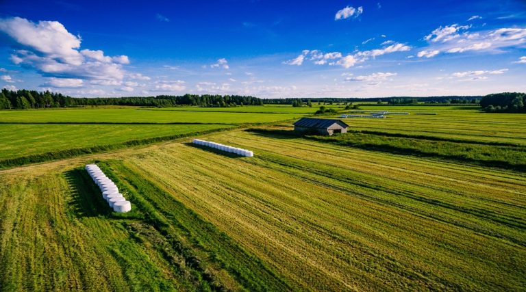 Should You Buy or Lease Farmland?