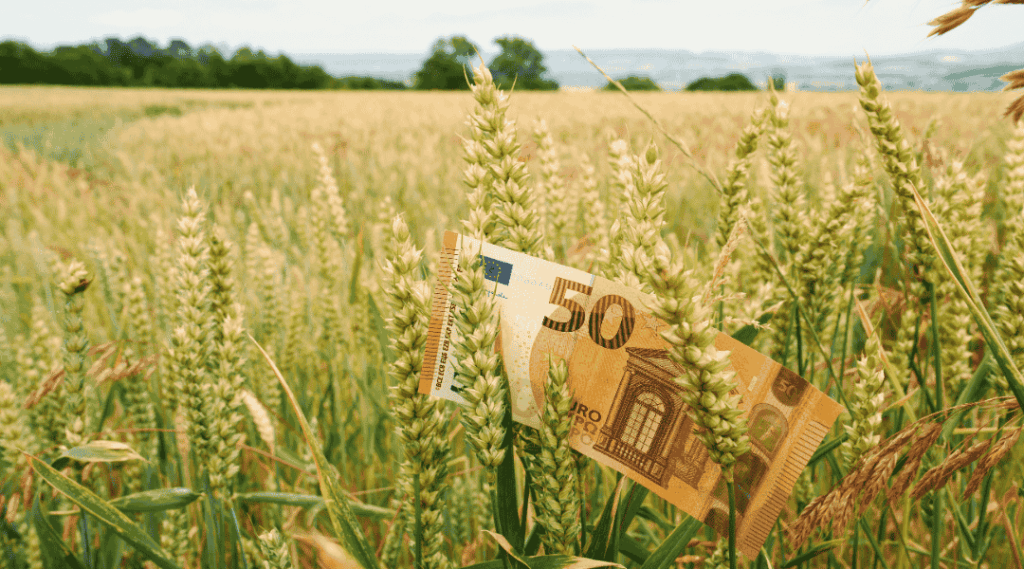 How Rising Interest Rates Threaten Agricultural Line Credit Stability