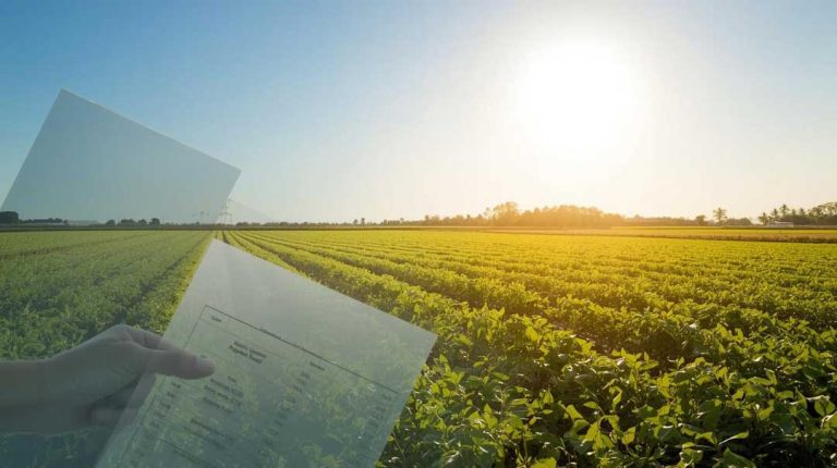 Top 7 Agricultural Loan Mistakes and How to Avoid Them